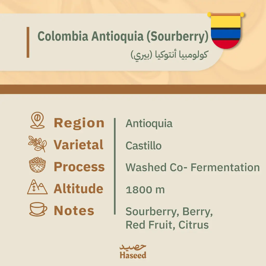 دفعه رقم ثنين-14.webp