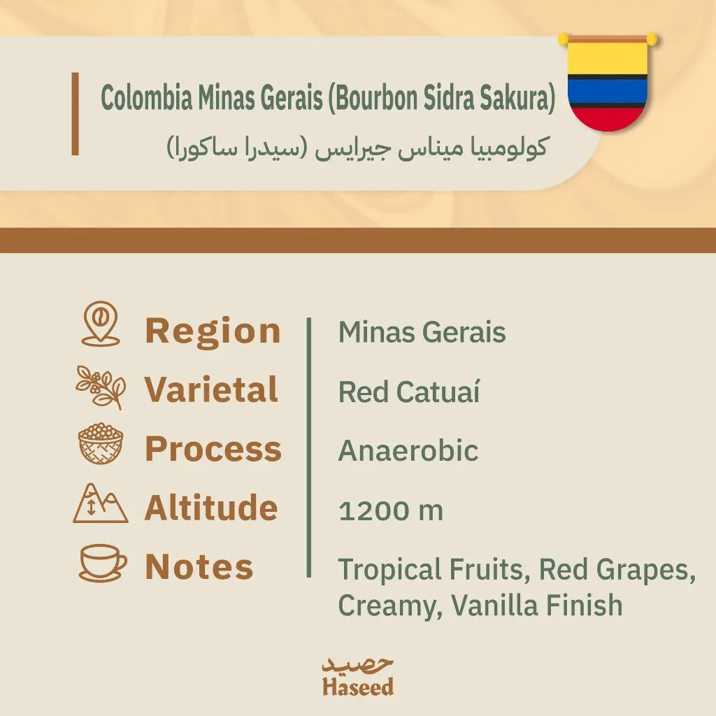 دفعه رقم ثنين-06.webp