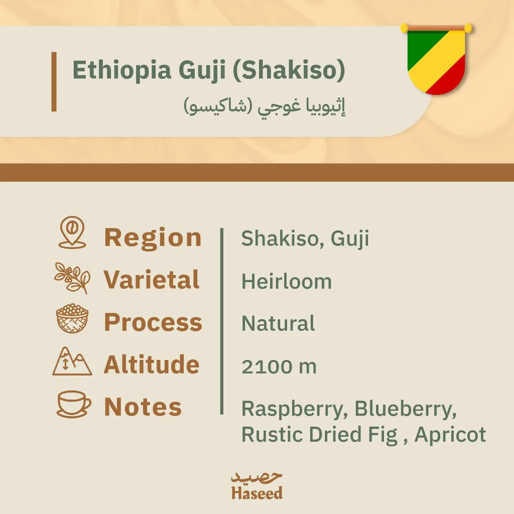 دفعه رقم ثنين-20.webp