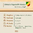 بديل-26.webp