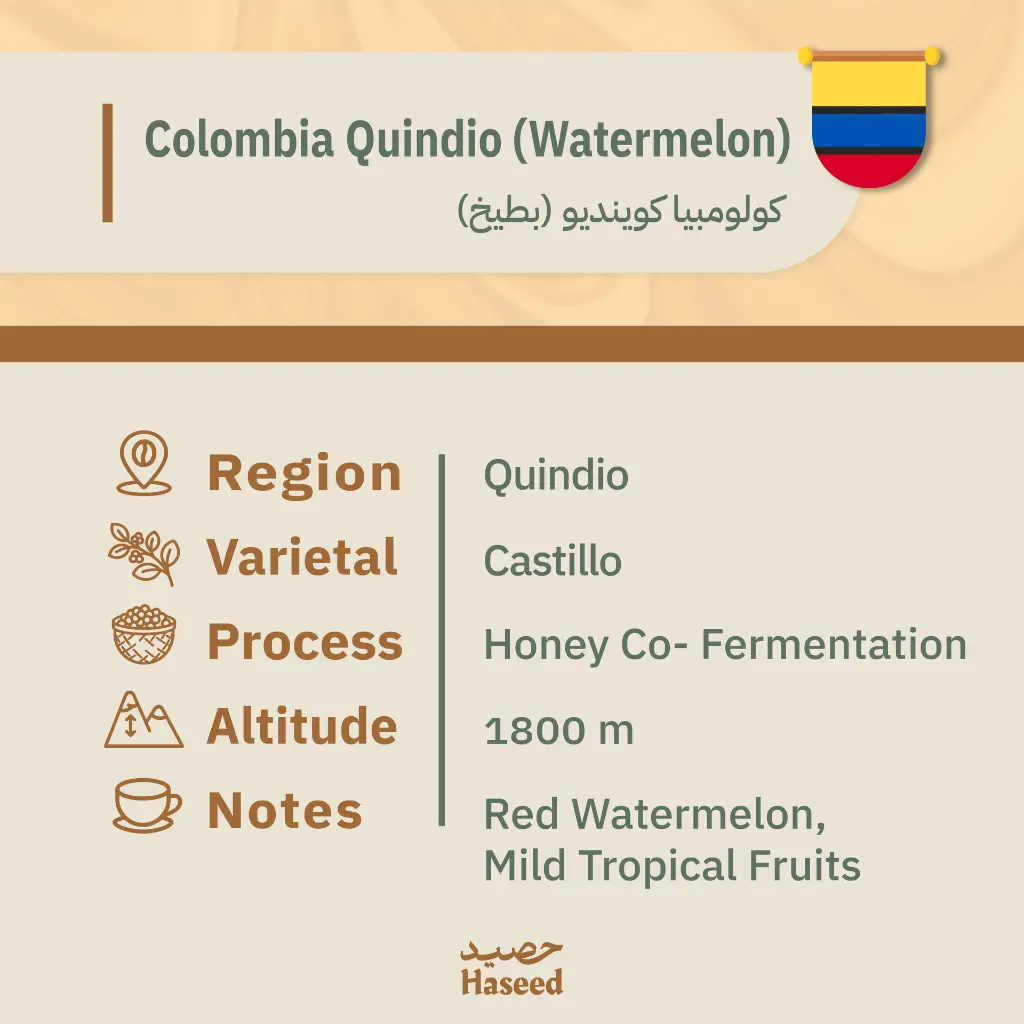 تصحيح بطيخ-18.webp