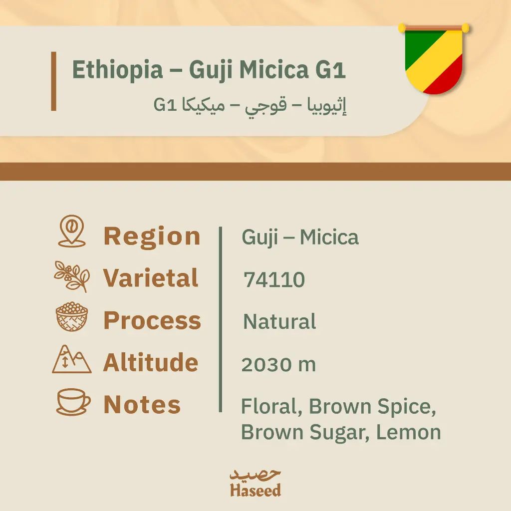 بديللل مي-38.webp