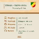 محاصيل جديده-52.webp