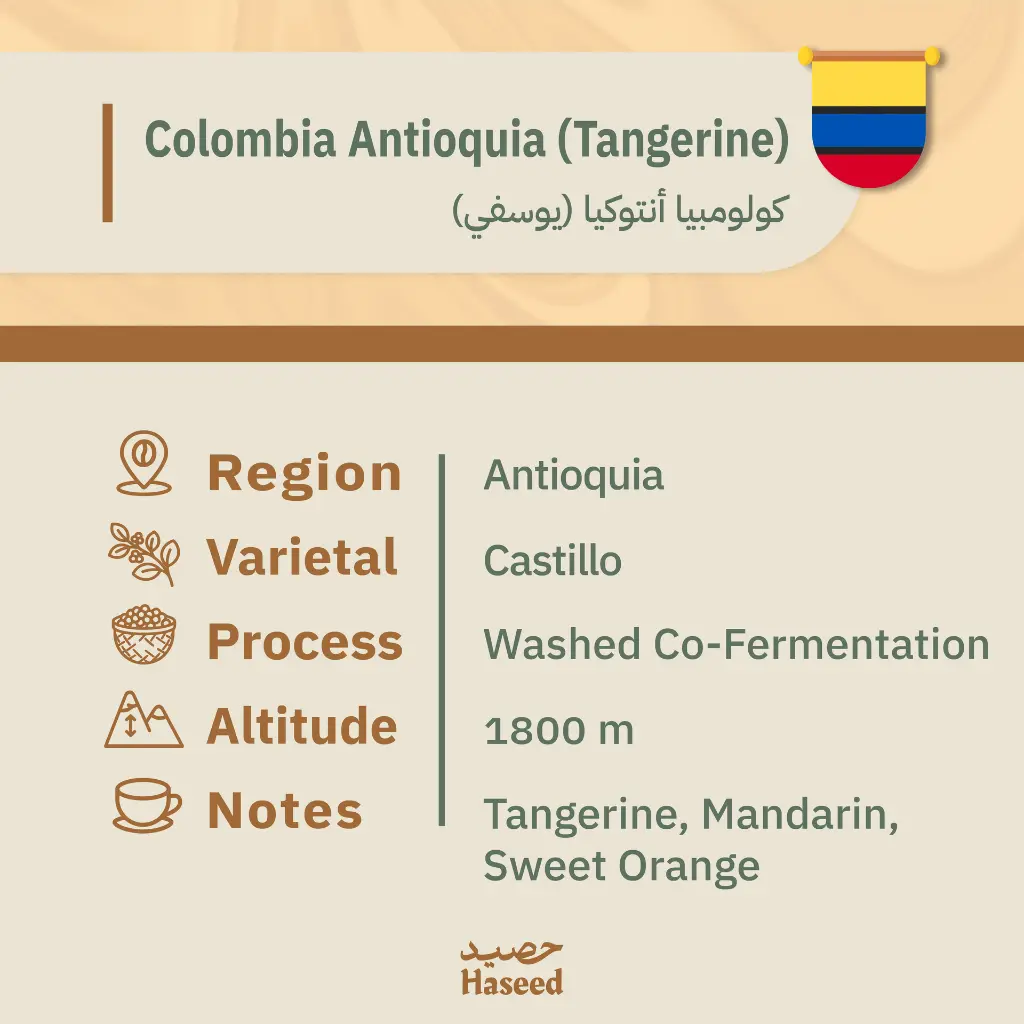 دفعه رقم ثنين-16.webp