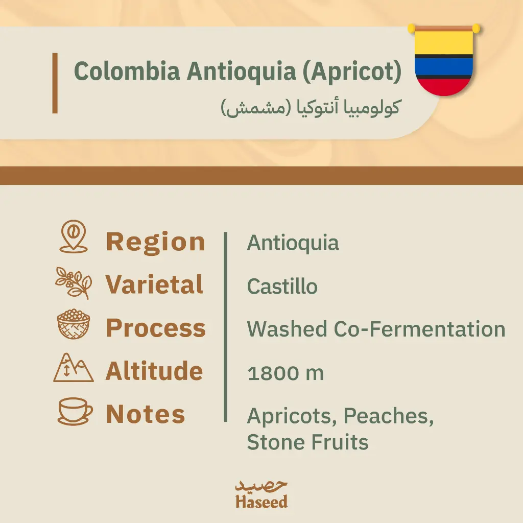 دفعه رقم ثنين-02.webp