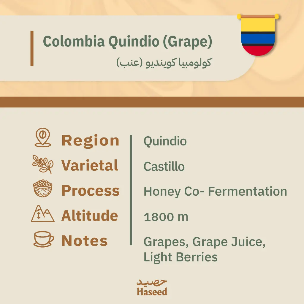 دفعه رقم ثنين-12.webp