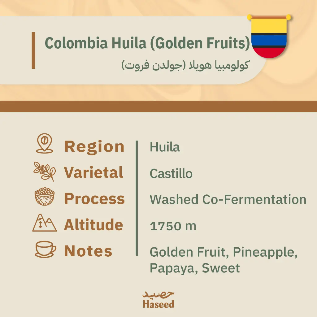 دفعه رقم ثنين-10.webp