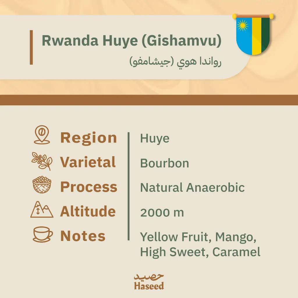 دفعه رقم ثنين-34.webp