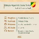 دفعه رقم ثنين-22.webp