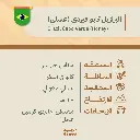 حبوب قهوة محمّصة | البرازيل كابو فيردي (عسلي)