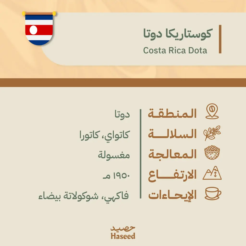حبوب قهوة محمّصة | كوستاريكا – دوتا