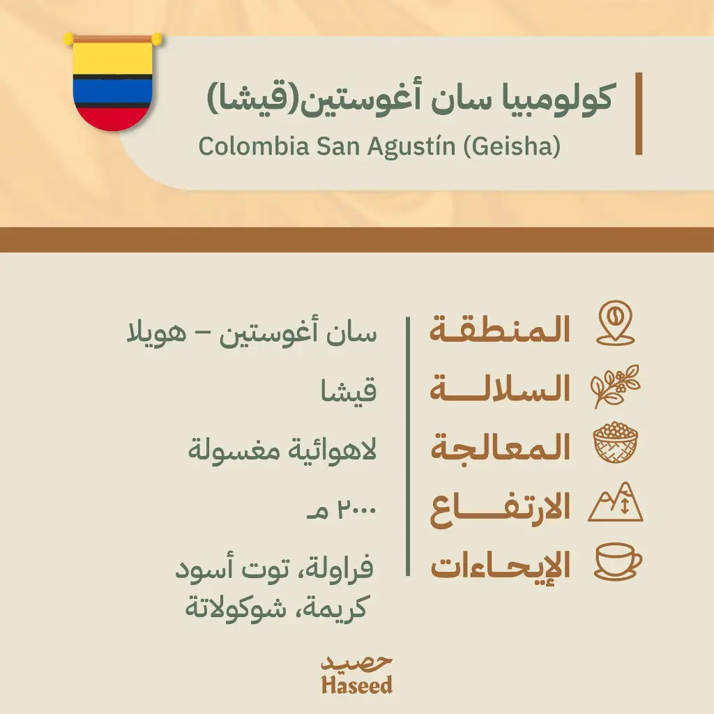 Roasted Coffee Beans | Colombia San Agustín (Geisha)