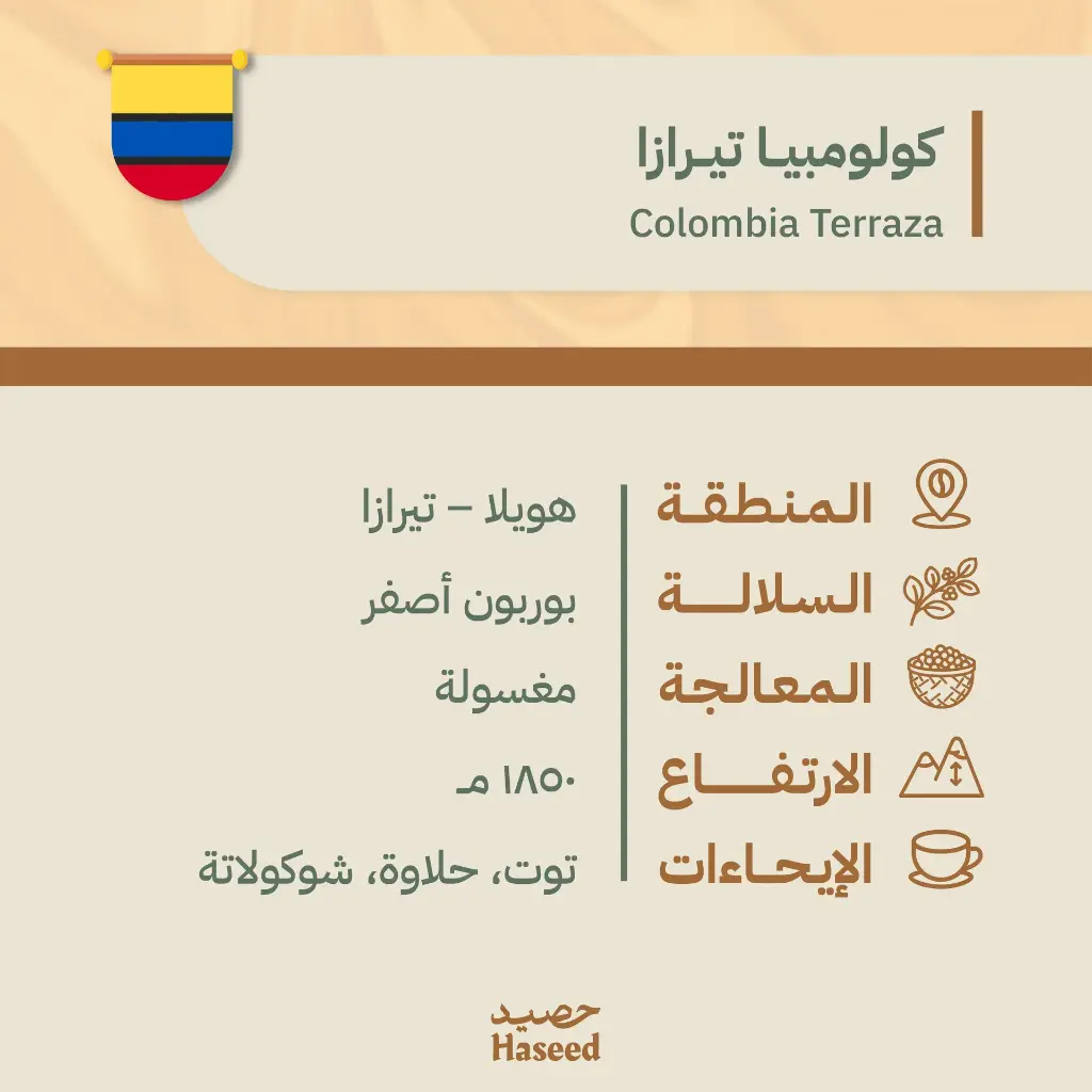 Roasted Coffee Beans | Colombia Terraza