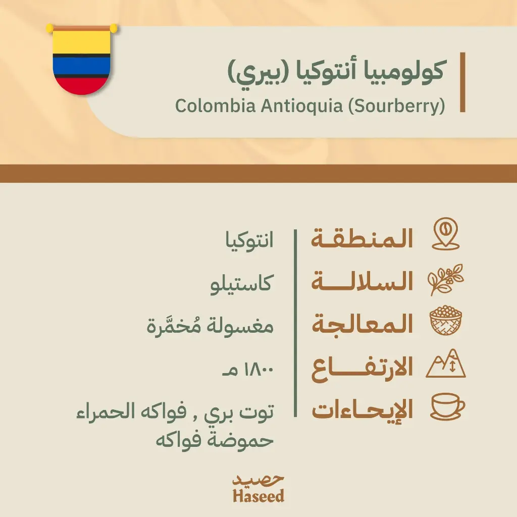 Roasted Coffee Beans | Colombia Antioquia (Sourberry)