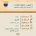 حبوب قهوة محمّصة | كولومبيا انتوكيا (كوكنت)