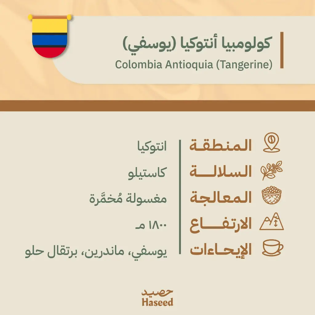 Roasted Coffee Beans | Colombia Antioquia (Tangerine)