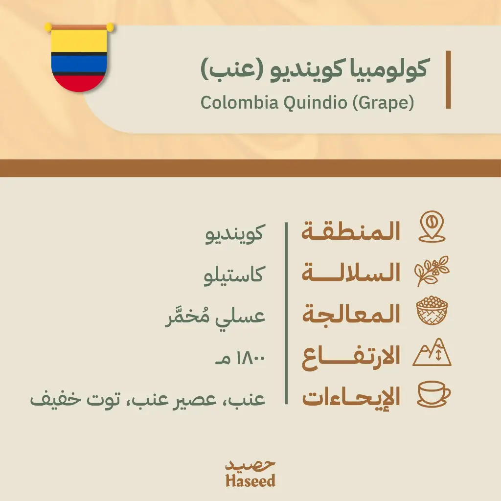 Roasted Coffee Beans | Colombia Quindio (Grape)