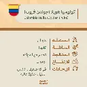 حبوب قهوة محمّصة | كولومبيا هويلا (فواكه ذهبية)