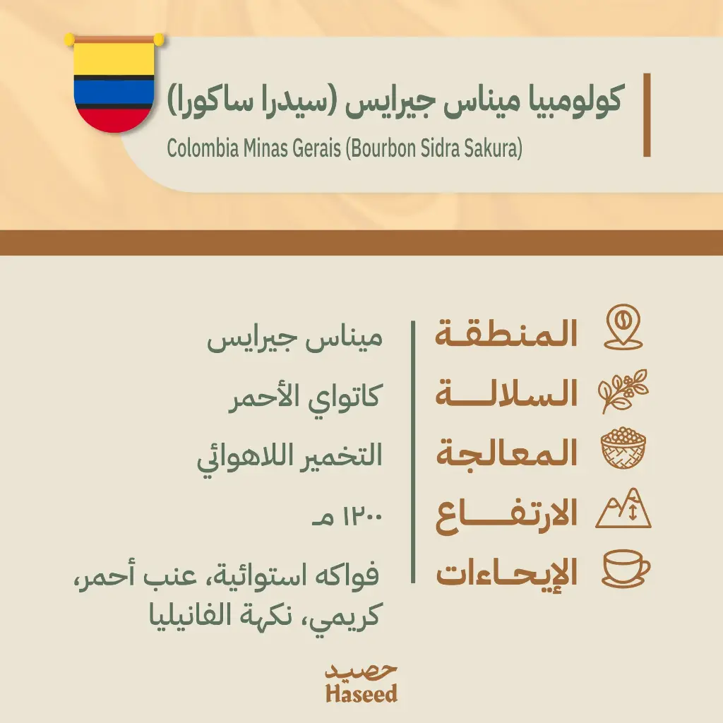 حبوب قهوة محمّصة | البرازيل ميناس جيرايس (سيدرا ساكورا)