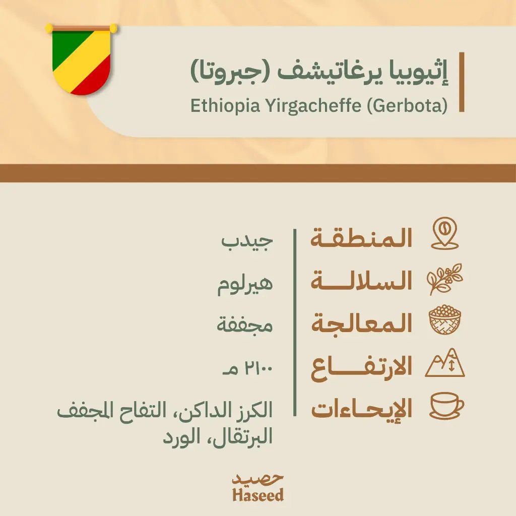 حبوب قهوة محمّصة | إثيوبيا يرغاتشيف (جيربوتا)