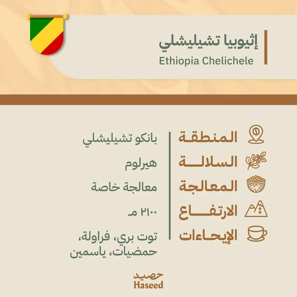 Roasted Coffee Beans | Ethiopia Chelichele