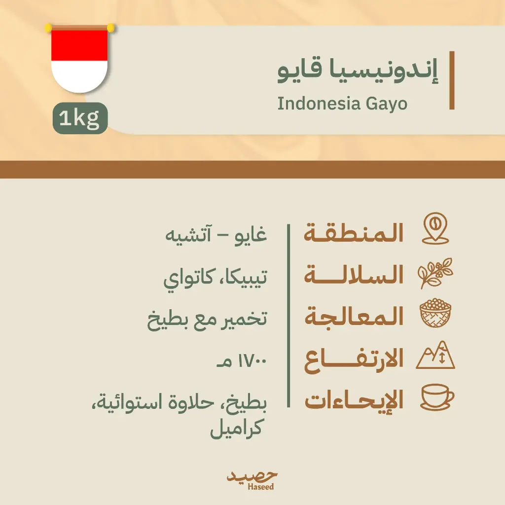 Roasted Coffee Beans | Indonesia Gayo