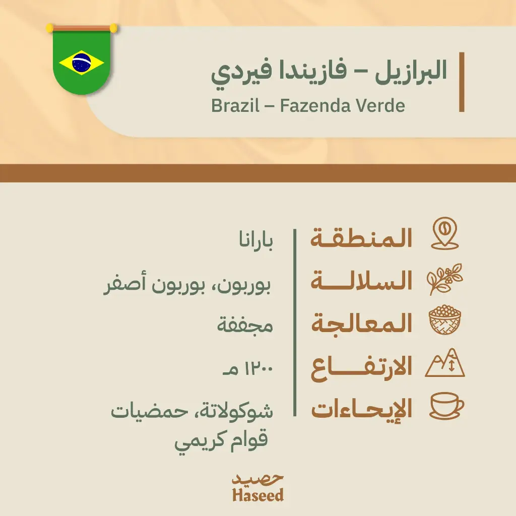 Roasted Coffee Beans | Brazil Fazenda 