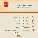 حبوب قهوة  محمّصة | الصين – لاو شو زهاي