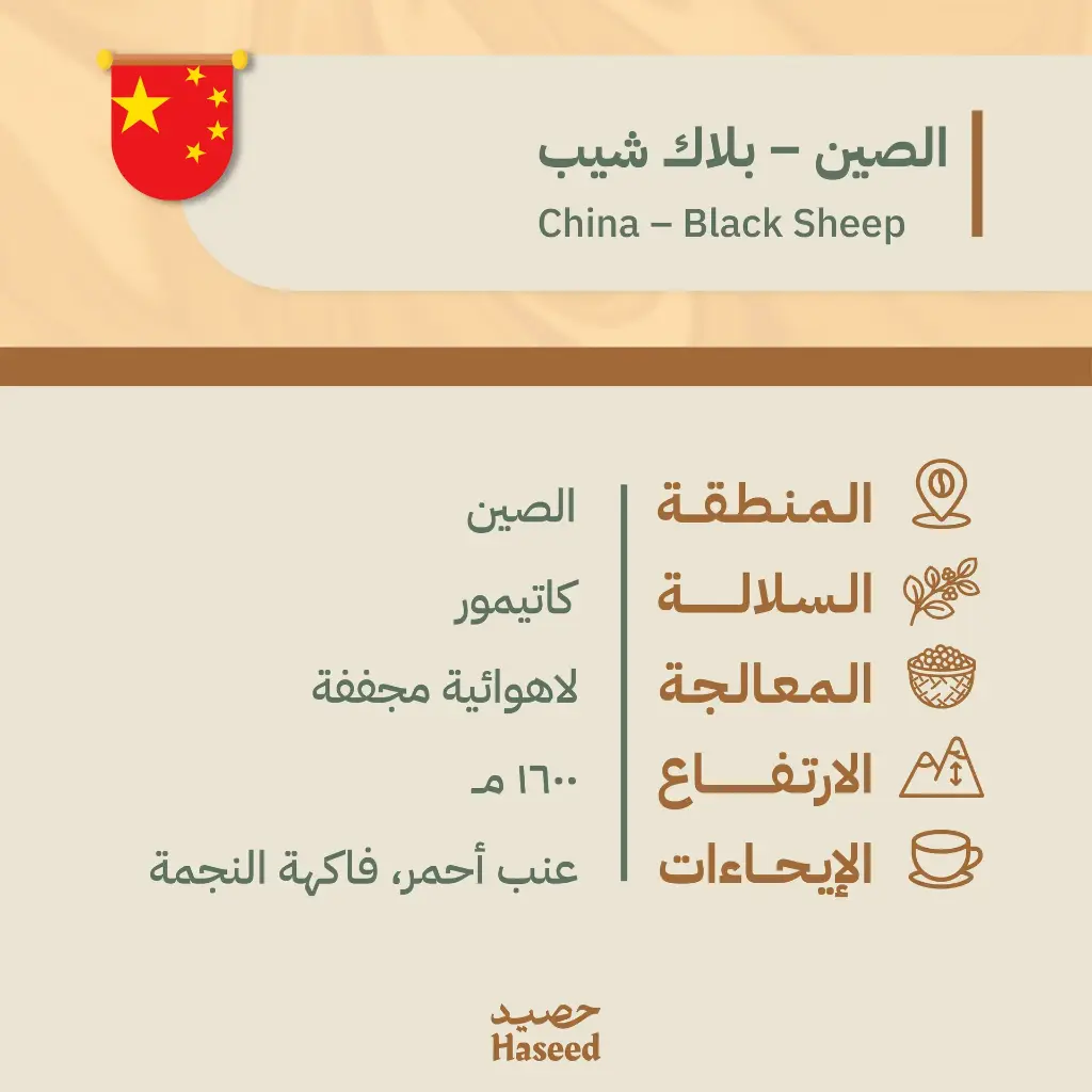 Roasted Coffee Beans |  China Black Sheep