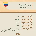 حبوب قهوة مختصة | كولومبيا – ليمون