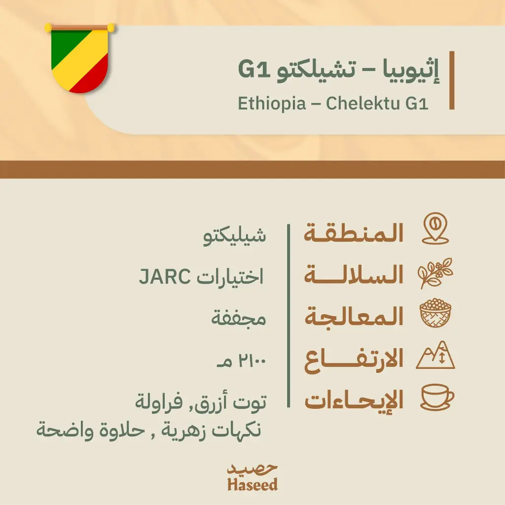RoastedCoffee Beans | Ethiopia – Chelektu G1