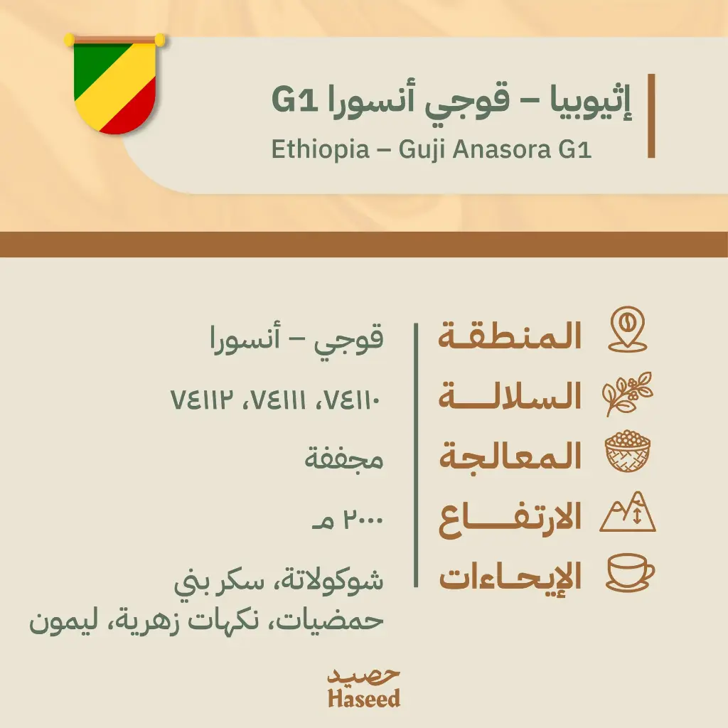 حبوب قهوة محمّصة | إثيوبيا – قوجي أنسورا G1