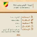 حبوب قهوة محمّصة | إثيوبيا – قوجي بيديسا G1