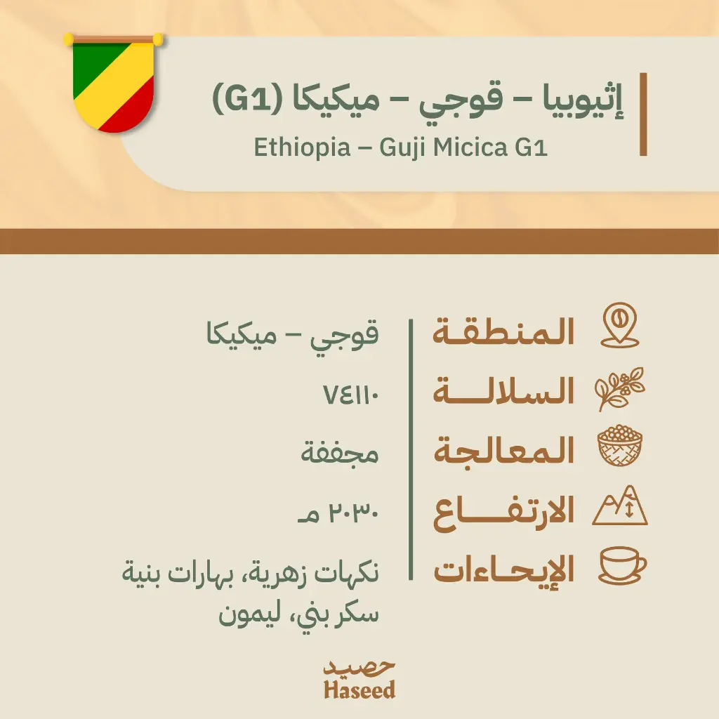 Roasted Coffee Beans | Ethiopia – Guji Micica G1