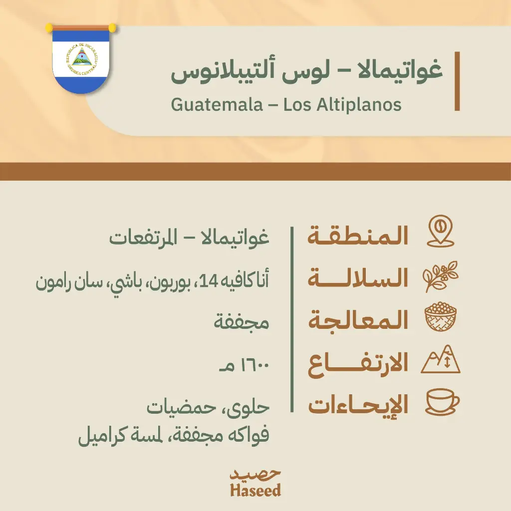 Roasted Coffee Beans | Guatemala – Los Altiplanos