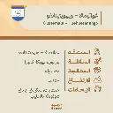 حبوب قهوة محمّصة | غواتيمالا – ويهويتينانغو