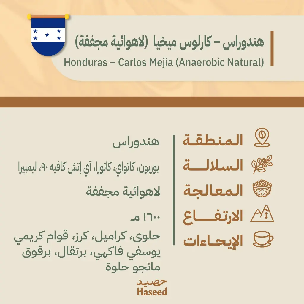 Roasted Coffee Beans | Honduras Finca La Valentina