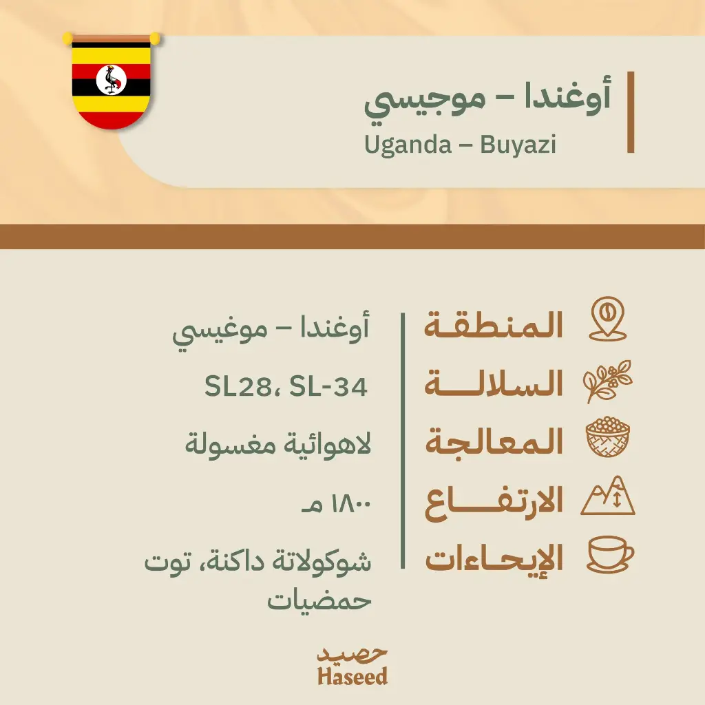 Roasted Coffee Beans | Uganda – Mugisi