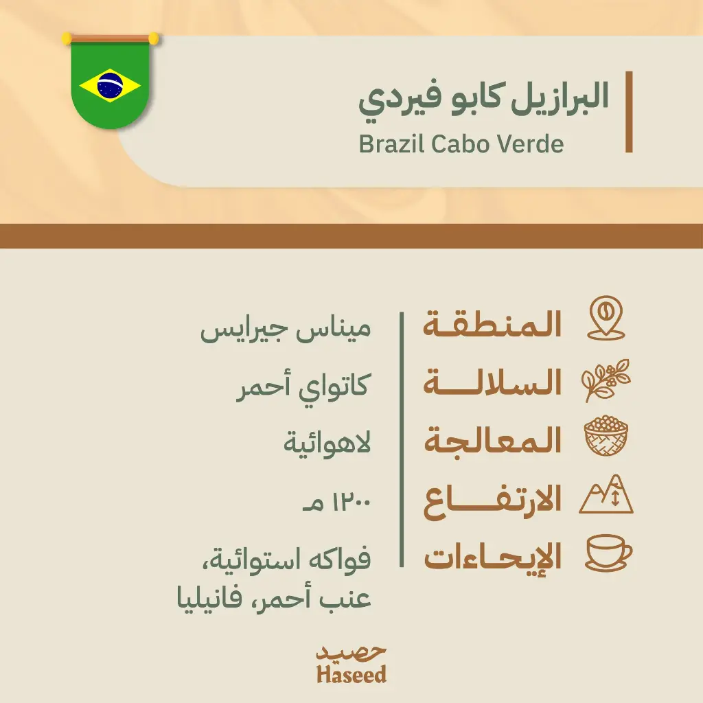 Brazil Cabo Verde Red Catuai Anaerobic | برازيل كاتوي أحمر اناروبيك