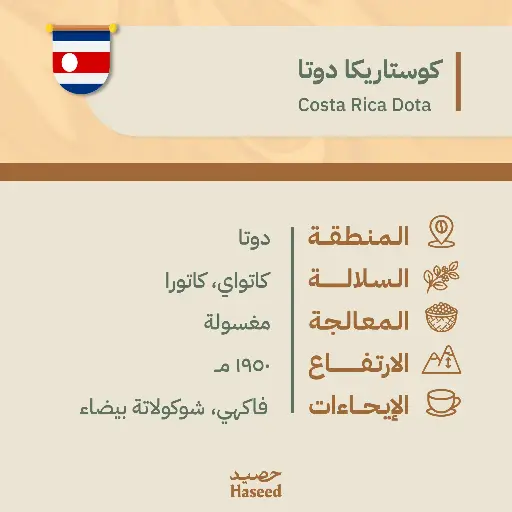 Roasted Coffee Beans | Costa Rica Dota