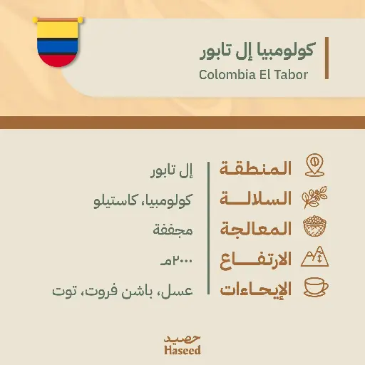 Roasted Coffee Beans | Colombia El Tabor