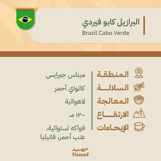 Roasted Coffee Beans | Brazil Cabo Verde