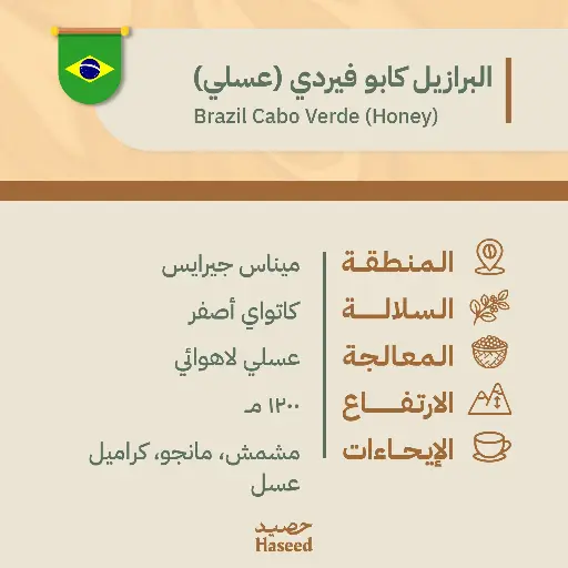 Roasted Coffee Beans | Brazil Cabo Verde (Honey)