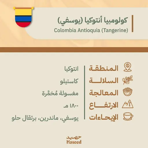 Roasted Coffee Beans | Colombia Antioquia (Tangerine)