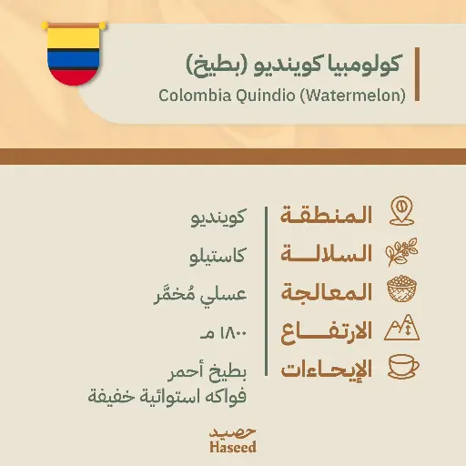 Roasted Coffee Beans | Colombia Quindio (Watermelon)