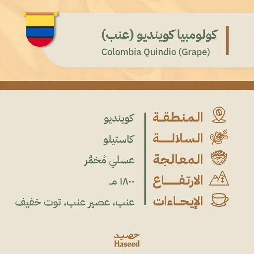 Roasted Coffee Beans | Colombia Quindio (Grape)