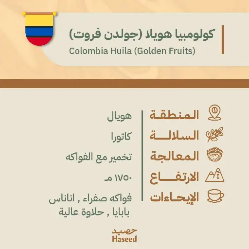 Roasted Coffee Beans | Colombia Huila (Golden Fruits)