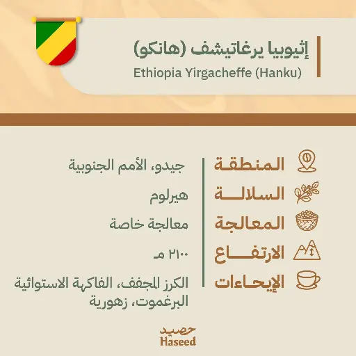 Roasted Coffee Beans | Ethiopia Yirgacheffe (Hanku)