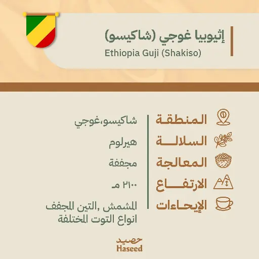 حبوب قهوة محمّصة | إثيوبيا قوجي (شاكيسو)