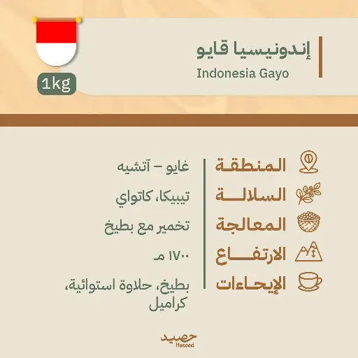 Roasted Coffee Beans | Indonesia Gayo